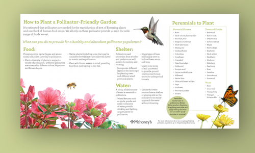 Pollinator Poster Pollinator Poster